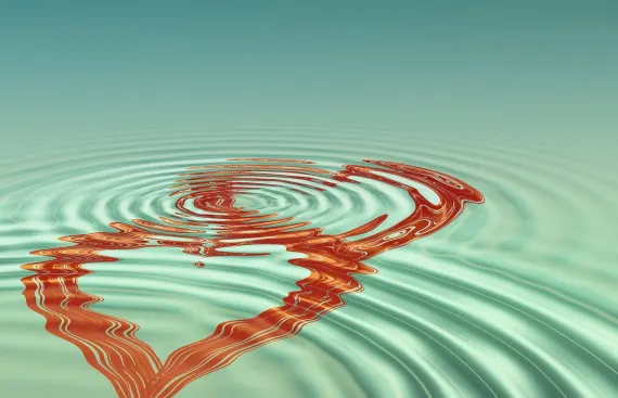 BoVegas Kaszinó Támogatás